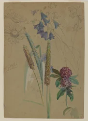 Kukkatyöpöytä, 1860 (grafiitti & wc paperilla)